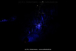 fotografie-21