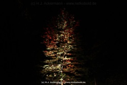 fotografie-46