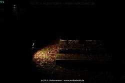 fotografie-13