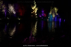 fotografie-40