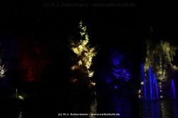 fotografie-64