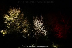 fotografie-14