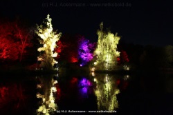 fotografie-41