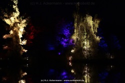 fotografie-42