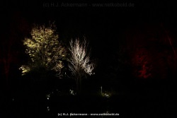 fotografie-52