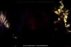 fotografie-1