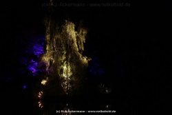 fotografie-53