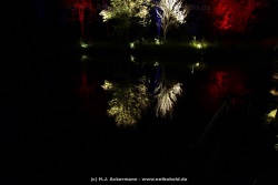 fotografie-22