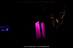 fotografie-163