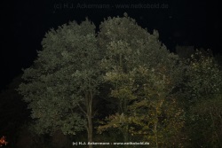 fotografie-131