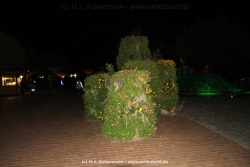 fotografie-179