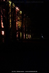 fotografie-12