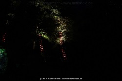 fotografie-124