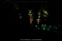 fotografie-136