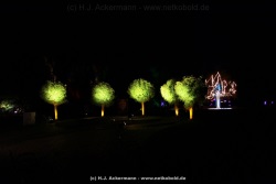 fotografie-65