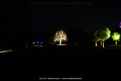 fotografie-42