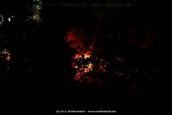 fotografie-48