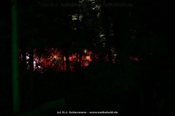 fotografie-40