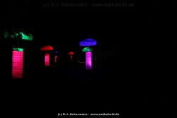 fotografie-41