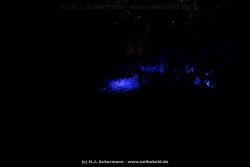 fotografie-9