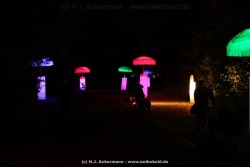 fotografie-54