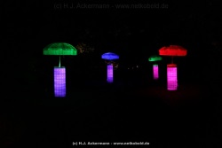 fotografie-52