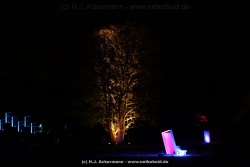 fotografie-95