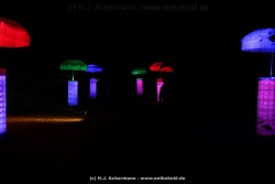 fotografie-41