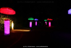 fotografie-24