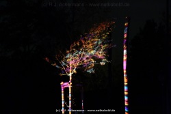 fotografie-14