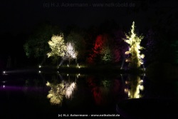 fotografie-57