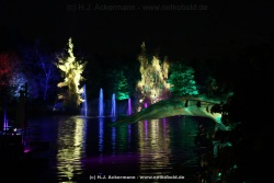 fotografie-15