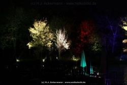 fotografie-198