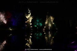fotografie-60