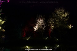 fotografie-49