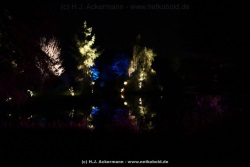 fotografie-25