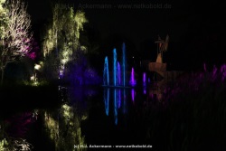 fotografie-47
