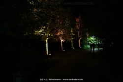 fotografie-174