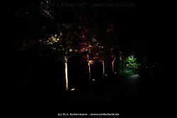 fotografie-46