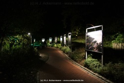 fotografie-113