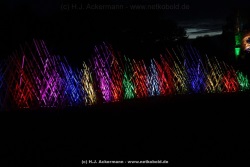 fotografie-5