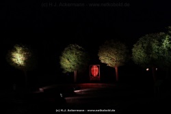 fotografie-6