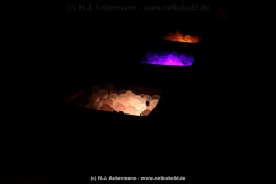 fotografie-28