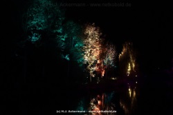 fotografie-30