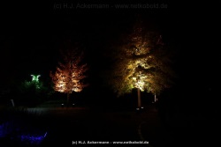 fotografie-37