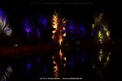 fotografie-40