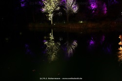 fotografie-41