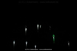 fotografie-51
