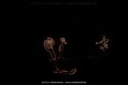 fotografie-62