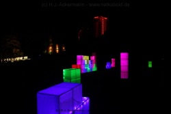 fotografie-8